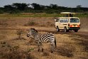 005 Nairobi Nationaal Park